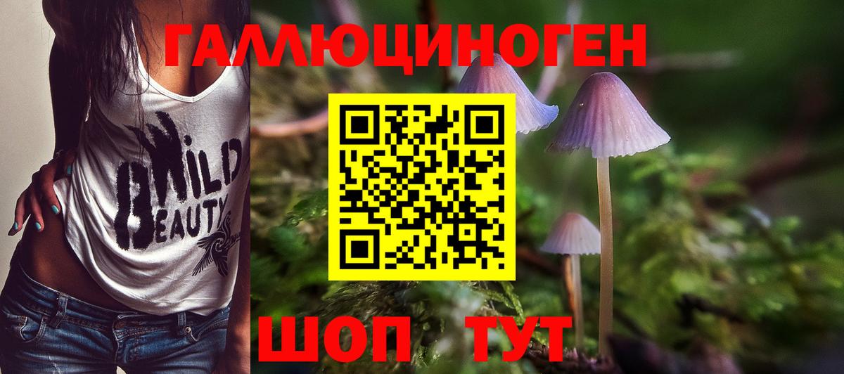 Галлюциногенные грибы Cubensis  Вход с VPN  Михайловка  Псилоцибиновые грибы Psilocybine cubensis 
