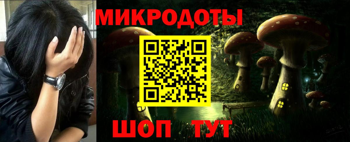 Псилоцибиновые грибы мицелий Михайловка